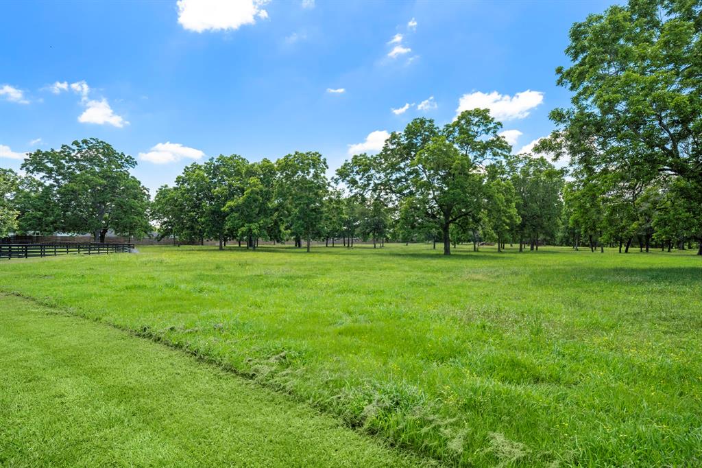 32918  Southern Manors Drive Fulshear Texas 77441, 30
