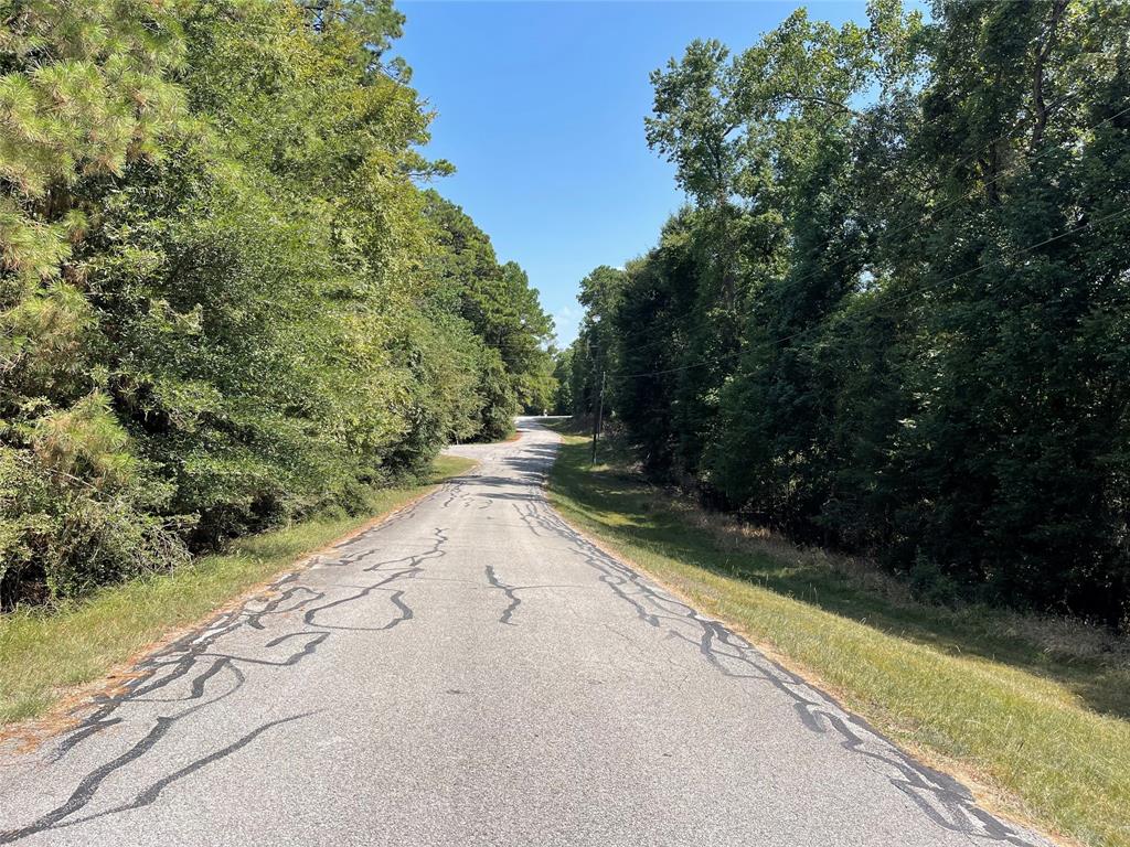 TBD  Valleyview Drive Onalaska Texas 77360, 44