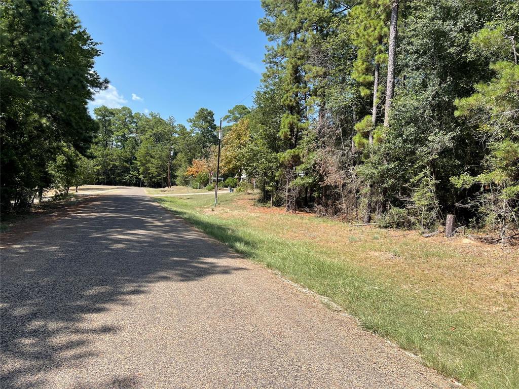 TBDDD E Moonlight Drive Onalaska Texas 77360, 44