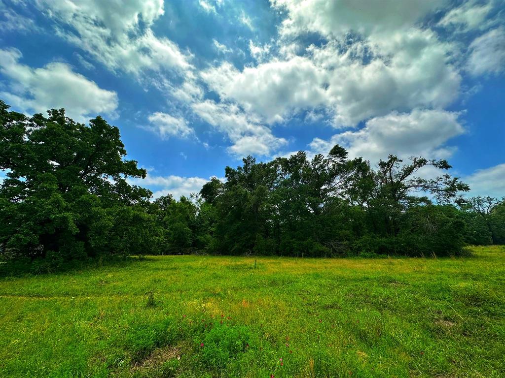 7 +/- acres just west of Centerville with all utilities available. This property is 80% pasture and 20% woods with large virgin oak trees allowing space to nestle a new home in for a lovely setting. The property also offers a small pond good for watering livestock or wildlife.  This location is close to town, and in Leon ISD.