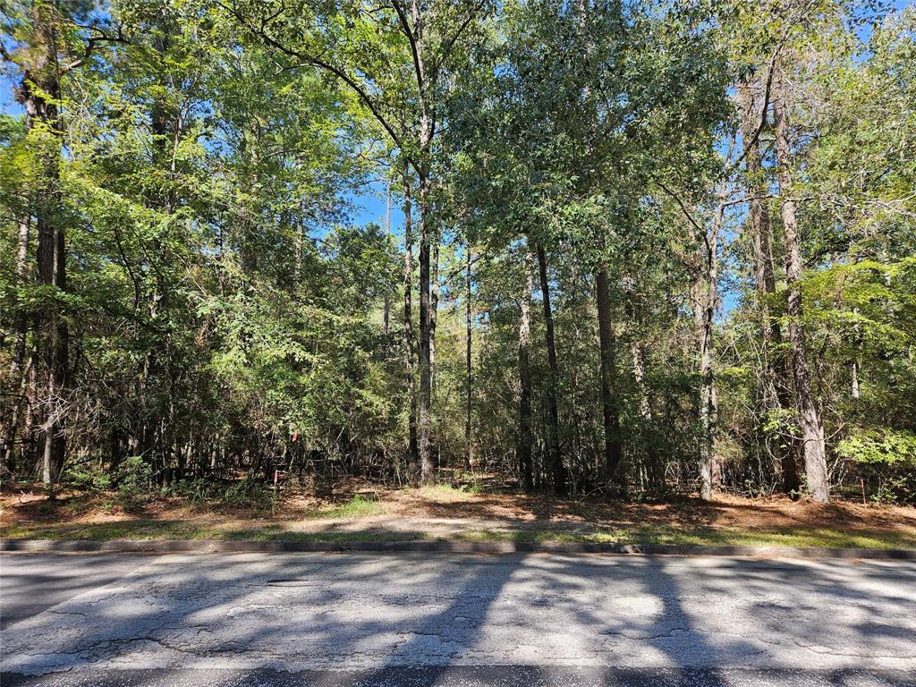 Lot 25  Westwood Drive Trinity Texas 75862, 42