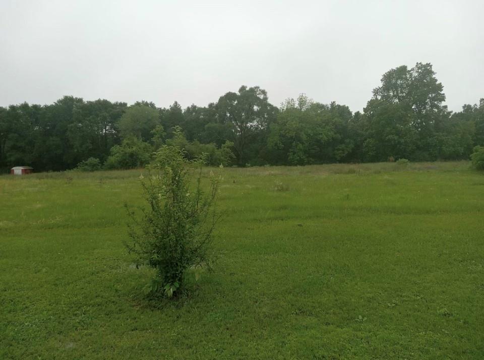 18514  Parker Road Cleveland Texas 77328, 19