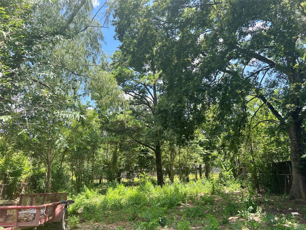 5121 Mackinaw Street, Houston 5121 Mackinaw Street Houston Texas 77053, 38