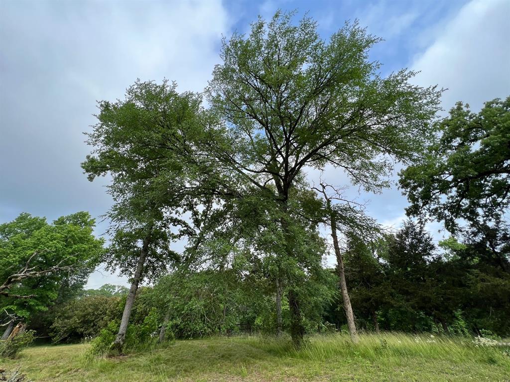 1 acre with Highway 7 frontage, east of Centerville.  Great homesite with nice clearing and large hardwood trees.  Fencing on two sides and utilities available at the road.