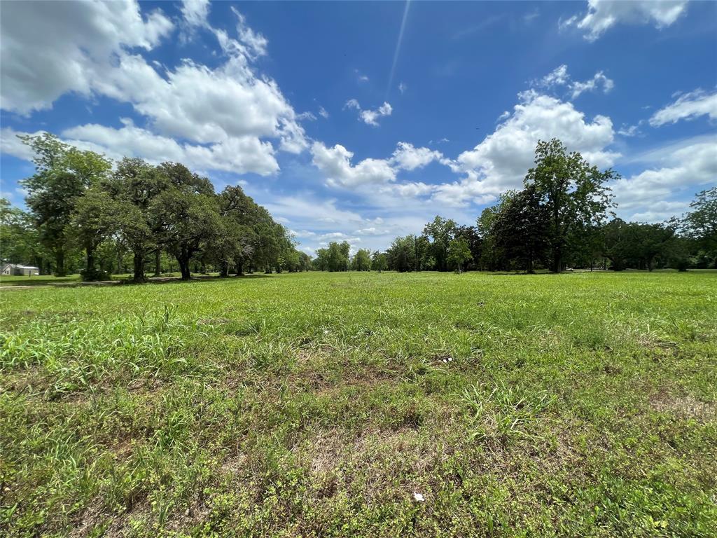Welcome to Lot C, this tract is nested on 10.030 acres of selectively cleared mature pecan trees and scattered century old live oak. The property is ready for you to build your dream home or business while living on the property- as per deed restrictions. Deed restricted including no mobile homes. Perfect for your horses and livestock! Tons of outdoor space for entertaining and 4H Projects.  Conveniently walking distance from New Gulf Elementary.  You don’t want to miss all this great property has to offer! Schedule your showing today!