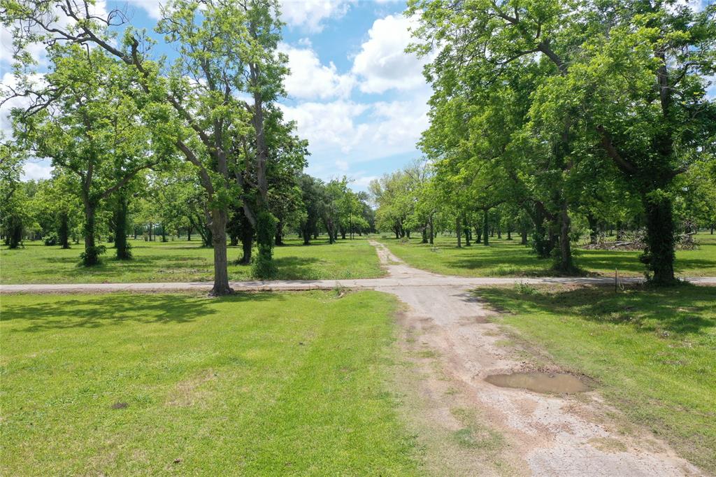 Welcome to Lot b, this tract is nested on 10.030 acres of selectively cleared mature pecan trees and scattered century old live oak. The property is ready for you to build your dream home or business while living on the property- as per deed restrictions. Deed restricted including no mobile homes. Perfect for your horses and livestock! Tons of outdoor space for entertaining and 4H Projects.  Conveniently walking distance from New Gulf Elementary.  You don’t want to miss all this great property has to offer! Schedule your showing today!