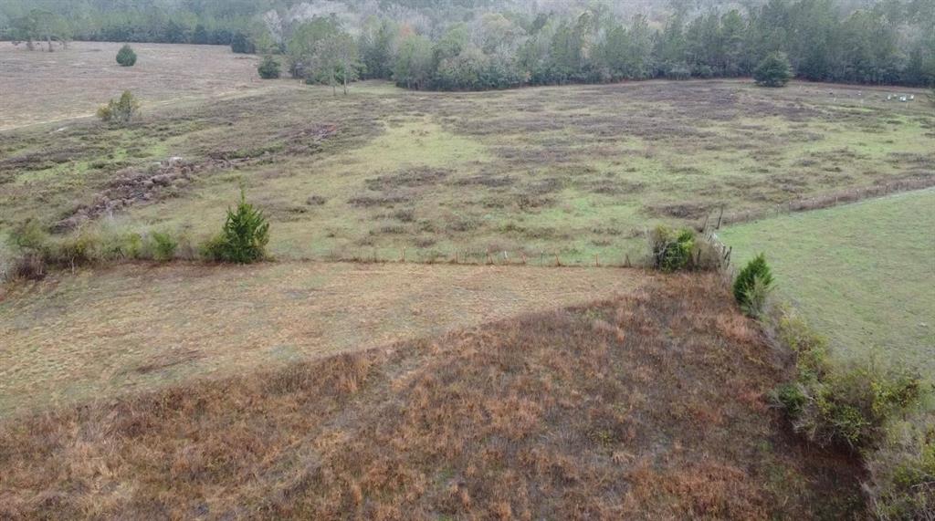 61 Whispering Pines Road, New Waverly 61 Whispering Pines Road New Waverly Texas 77358, 43