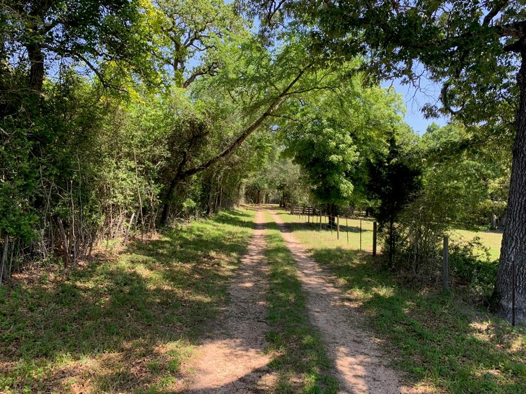 00 Old Courtney Road, Waller, TX 77484