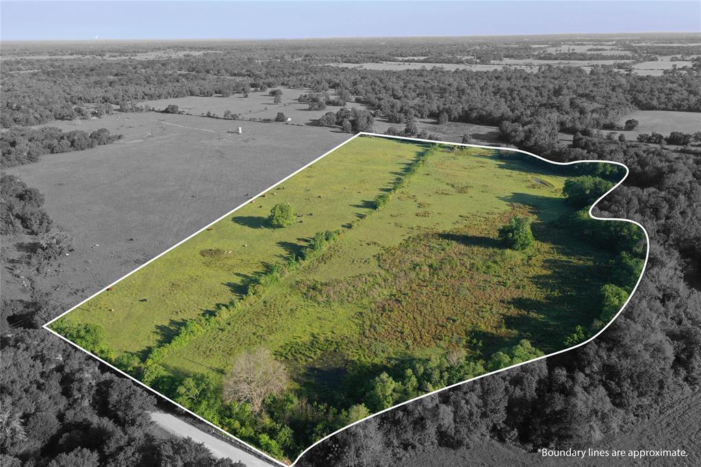 Build a life you love on these 21.34 AC located minutes from the local grocery store, dollar general, and North Zulch schools and just a comfortable drive from the hustle and bustle of Bryan/College Station. The peaceful setting offers an ideal mix of beautiful trees and high-quality improved pasture land, which is currently home to an abundance of wildlife. Electricity is in the area and partial fencing with an entrance gate is in place. Additional acreage is available for those who move fast, so don't miss your opportunity to customize your dream property in the exquisite Willow Branch Estates!