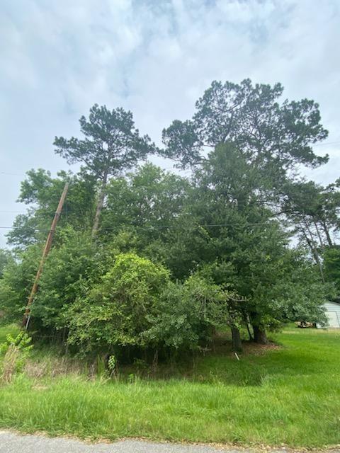 Lot 53  White Oak Drive Houston Texas 77336, 32