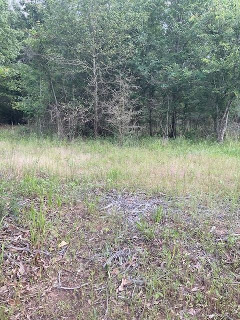 0000  FCR 360  Fairfield Texas 75840, 74