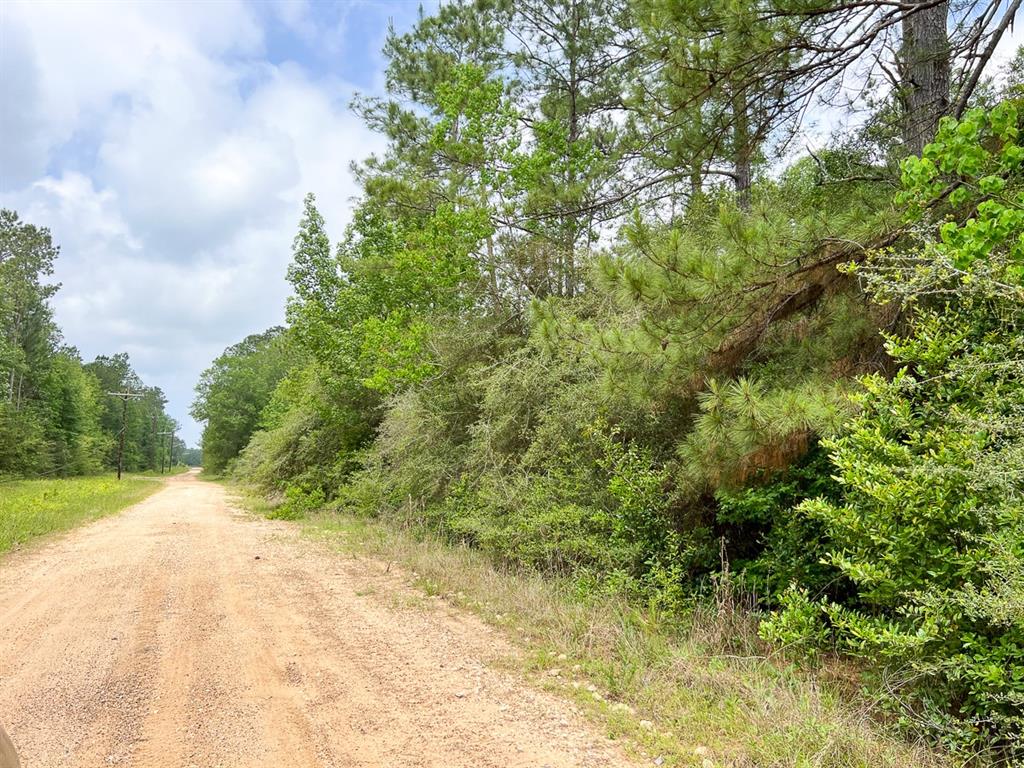 010 Old Arco Rd  , Silsbee, Texas image 7
