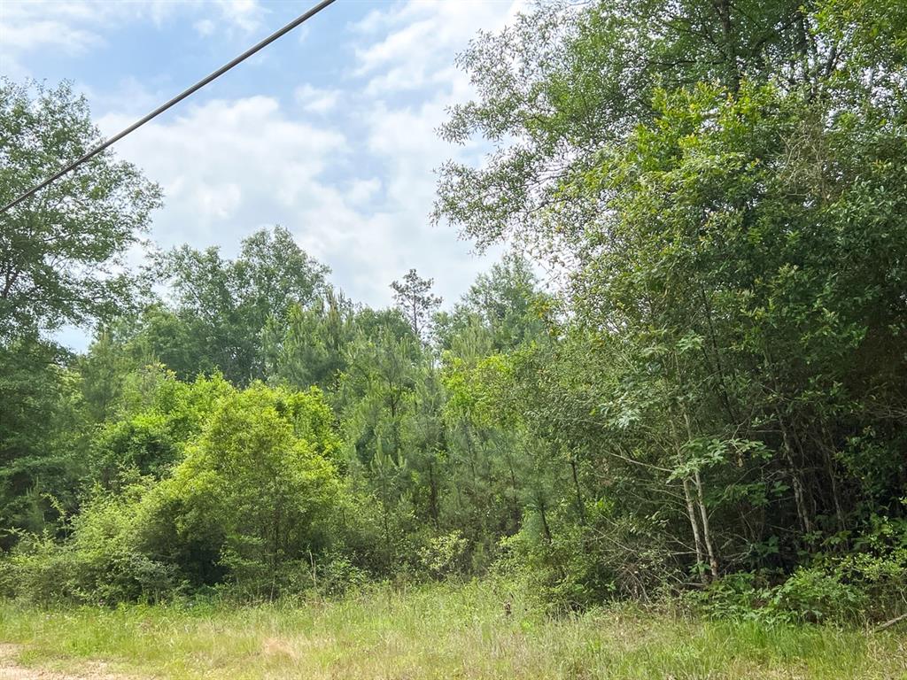 013 Old Arco Rd  , Silsbee, Texas image 3