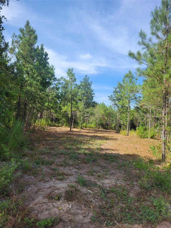 Beautiful heavily wooded tract 24.79 Acres in the Crockett Texas area. Pines and hardwood mixed with plenty of
room for a new build site. Electricity on site, road frontage on two sides of property. Wildlife, creek and sits on
a corner. This size property is hard to find and is just waiting for that buyer that seeks peace and quiet and that,
country way of life. A must see.  Seller Motivated.