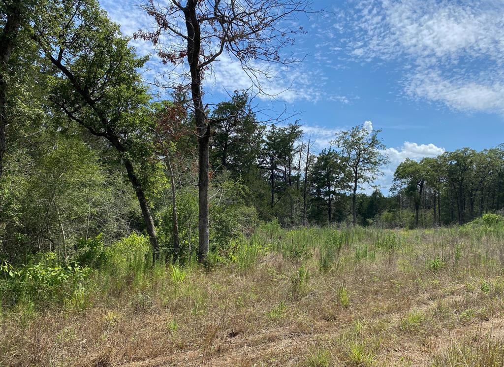 TBD  High Crossing Road Tract 8  Smithville Texas 78957, 83