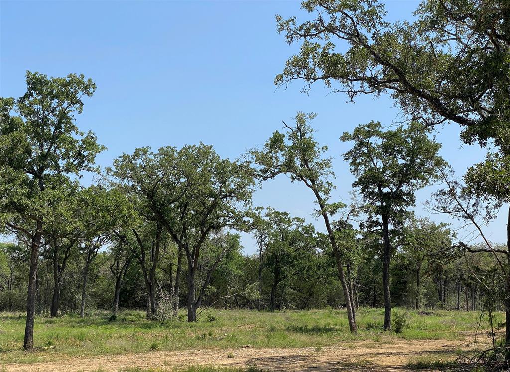 TBD High Crossing Road Tract 8  , Smithville, Texas image 6