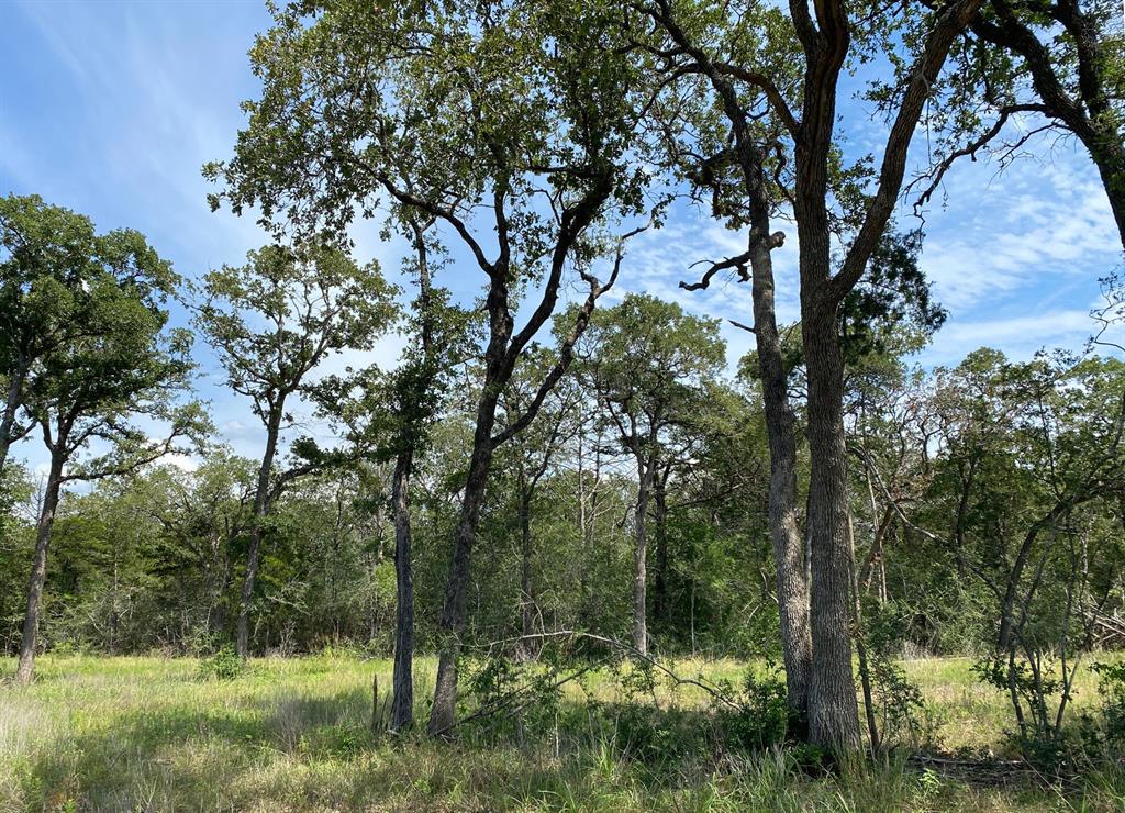 TBD High Crossing Road Tract 8  , Smithville, Texas image 10