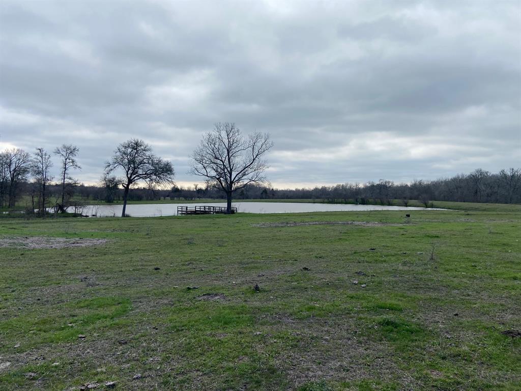 3  caney creek rd chappell hill, TX 77426