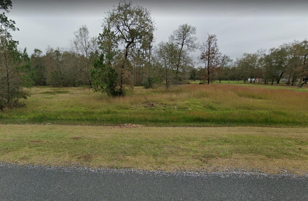 544/TBD Lake Charlotte Road, Wallisville, TX 77597