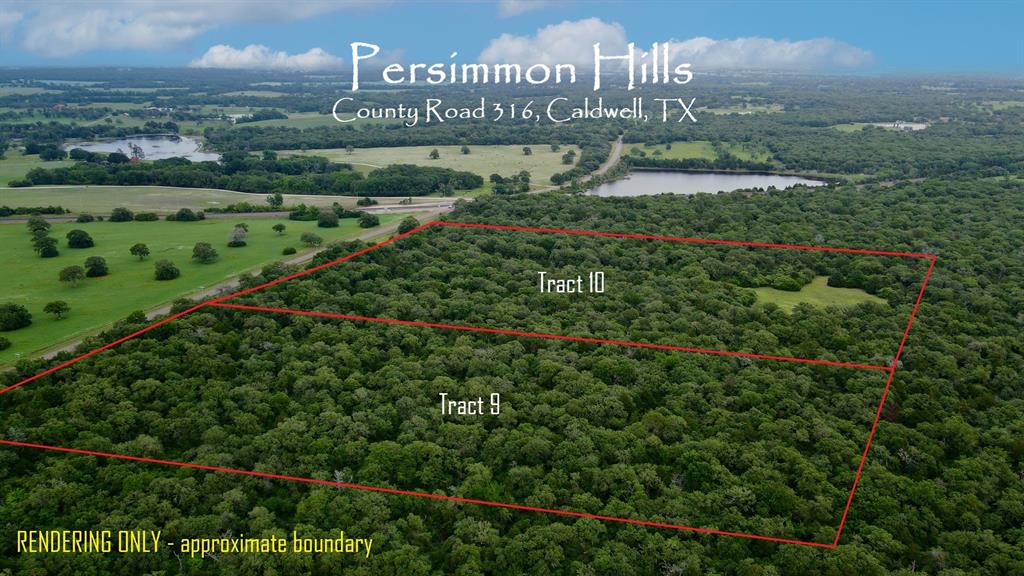 Minutes to Caldwell, central to Austin, Dallas and Houston, and just 30 minutes west of TEXAS A&M's Rellis Campus - PERSIMMON HILLS is lightly restricted with rural property use and value preservation in mind. WOODED with AG-EXEMPTION in place, PAVED frontage, ELECTRIC along front boundary, and SW MILAM COOP WATER line along CR 316. Listen to the sounds of country living while gazing at the stars. PERSIMMON HILLS is the wooded country escape you've been waiting for! Pick your spot, clear the area and build your dream home with peaceful seclusion in all directions.