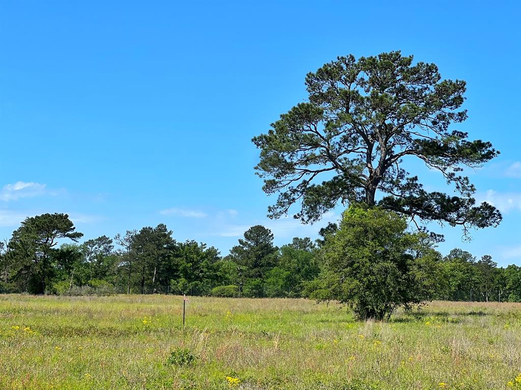 11.82 acres of prime real estate just outside of Bedias.  Excellent location with frontage on FM 2620.  Wooded property that would make a great homesite.  Easy commuting to Huntsville, College Station, or the north Hosuton area.  Electricity runs across the front of the property and ground water is ready available for drilling a water well.  More land is available.
