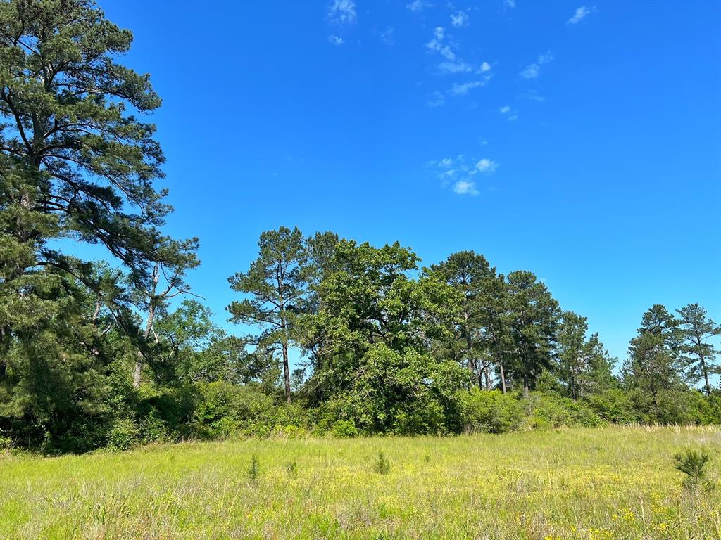 12 acres of prime real estate just outside of Bedias.  Excellent location with frontage on FM 2620.  Wooded property that would make a great homesite.  Electricity runs across the front of the property and ground water is readily available for drilling a water well.
