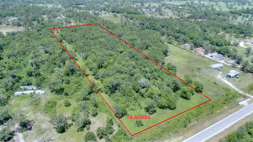Lovely 10 Acre Tract in Brazoria.  Mostly Wooded, High Elevation, No Restrictions, No HOA.