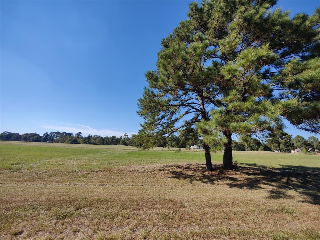 0  Long Iron  Trinity Texas 75862, 42