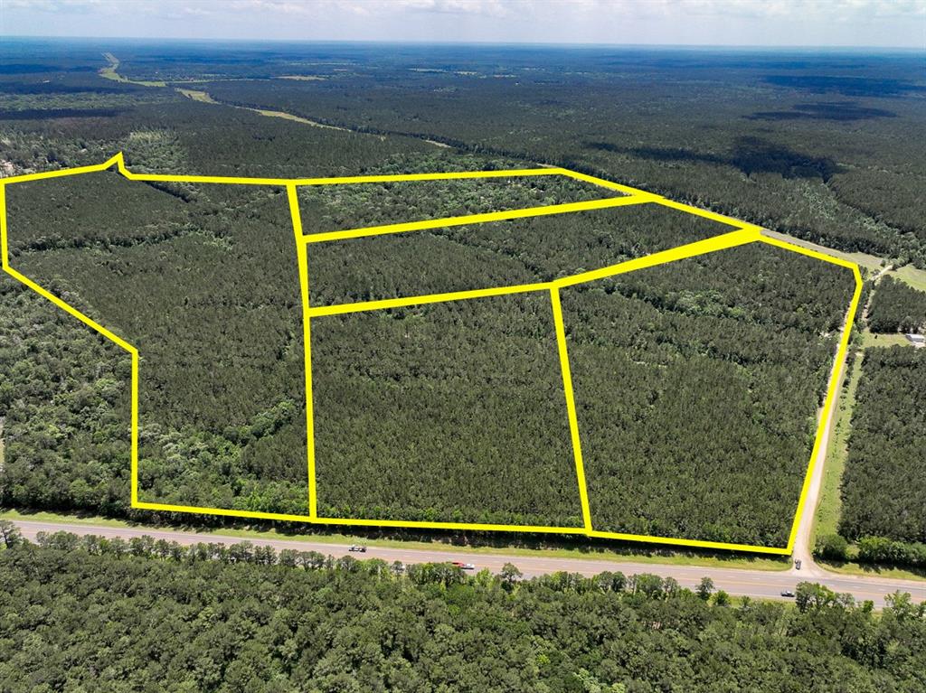 T-3 OAKHURST WEST! Managed pine forest over loamy type soils. Sloping to rolling topography with good drainage and floodplain free. Great access on US 190 and/or Hunter’s Hill Road. Electricity readily available or by short extension. 15 minutes to Lake Livingston! Near Teysha Winery!