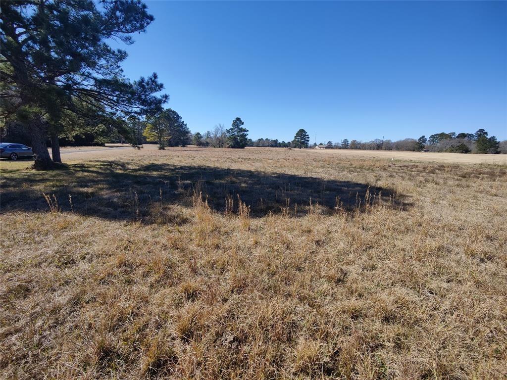 00  Long Iron  Trinity Texas 75862, 42