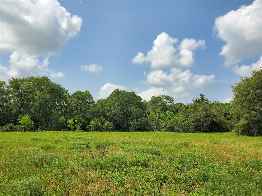 000 COUNTY ROAD 235, Sheridan, TX 77475