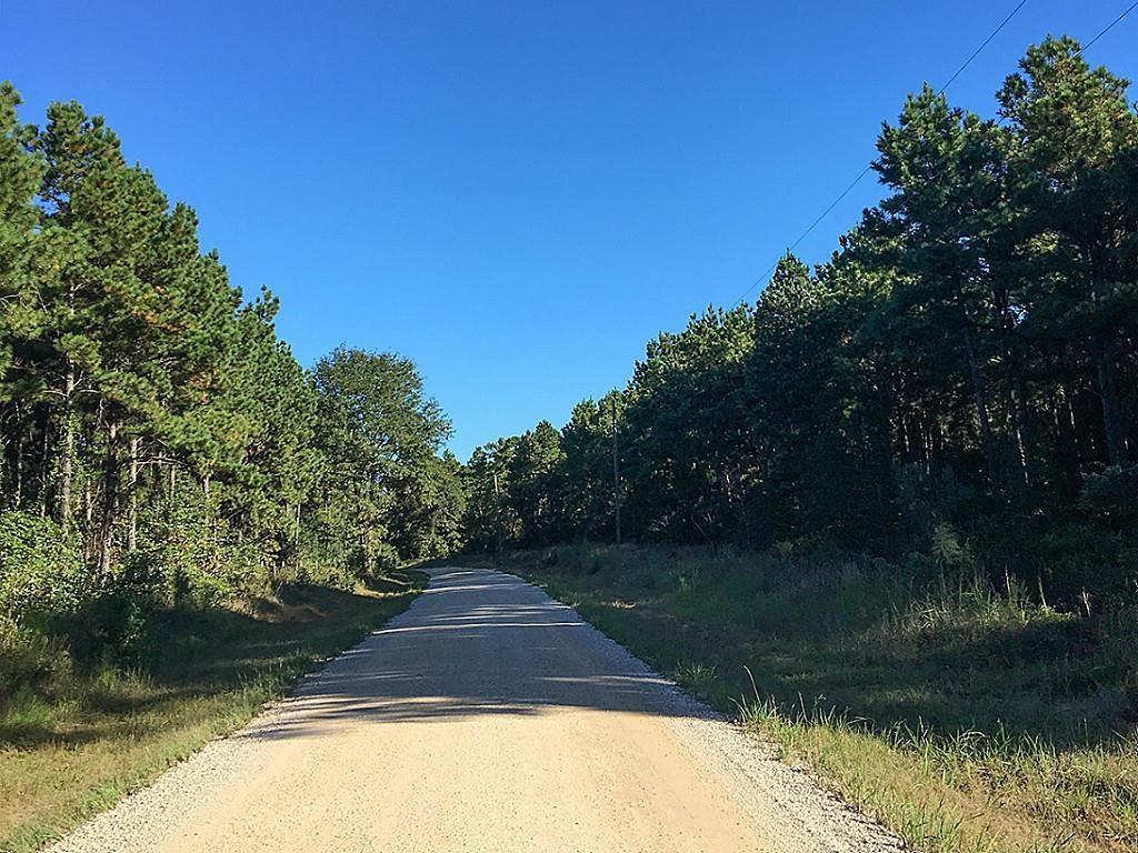 Recreation/Home-site potential, close to Lake Livingston. This property is wooded with pine and hard wood.  Sits in the Sam Houston National Forest Boundary. Great for a  home or cabin. Great recreational tract. Unrestricted