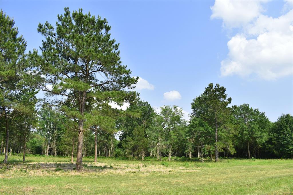 Tract 6 Fm 362  , Waller, Texas image 5
