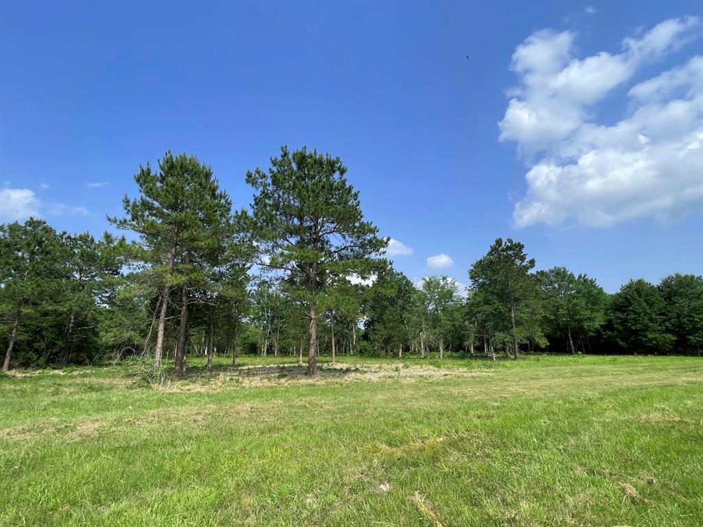 Tract 6 Fm 362  , Waller, Texas image 6