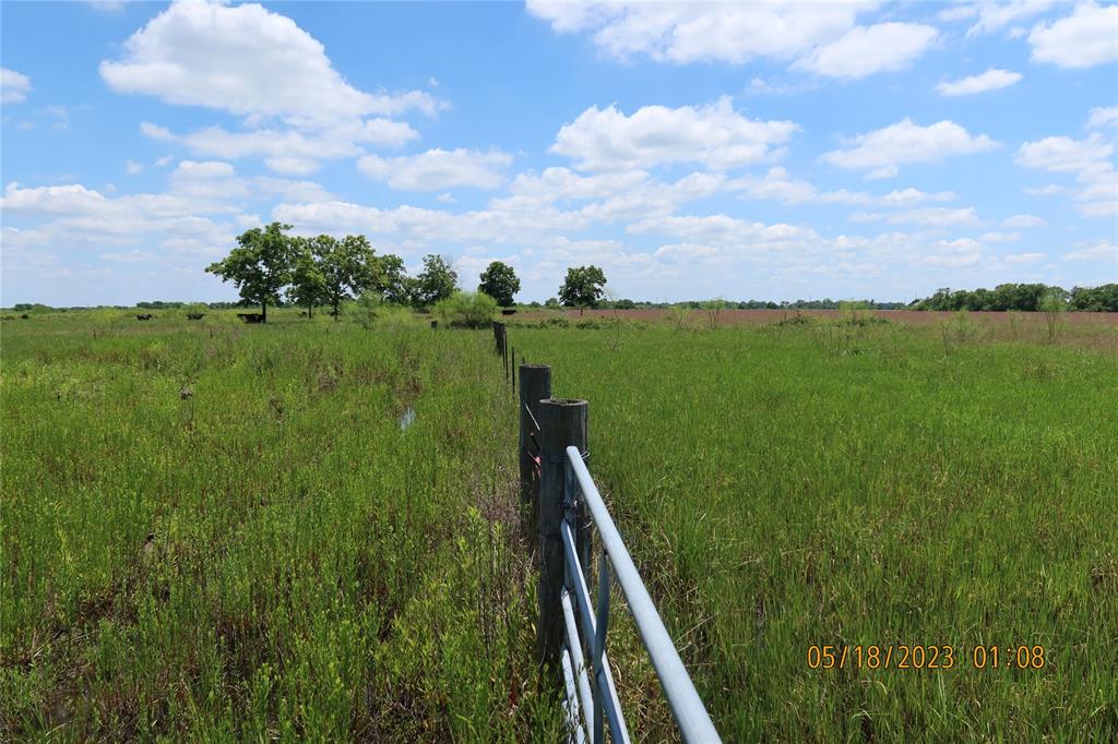 A great investment property for any farmer/rancher to build that house for the family and raise cattle on an Ag. Exempt property.  Has road frontage & entrance on Matthews Store Road. Road frontage on Matthew's Store Road is 1,150 feet and 375 feet on FM 102.   Has entrance on Matthew's Store Road. No entrance on FM 102.  Has one (1) water well with water trough.   Has no fences on the south side which encloses the next door neighbor which has 20 acres. Had one (1) oil well from years ago and is plugged and abandoned.  No production on the property nor does it have any oil/gas leases.  Seller has his own cattle on the property.  Property has native grasses.  Come see this great property for your homesite.