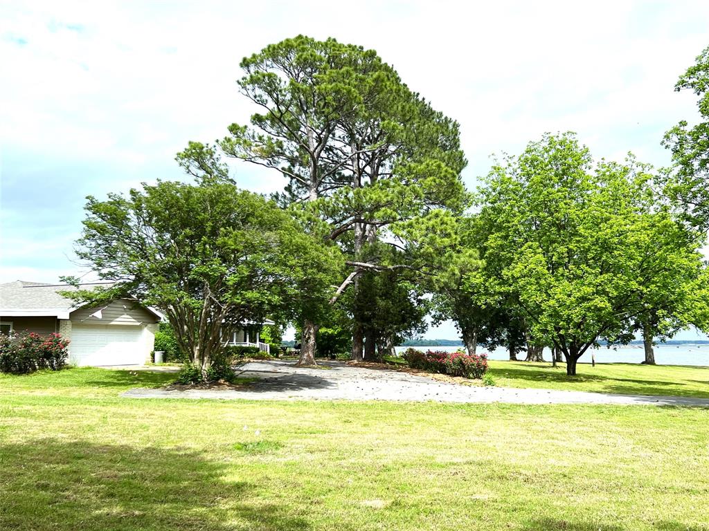 2323 RS County Road 3330  , Emory, Texas image 12