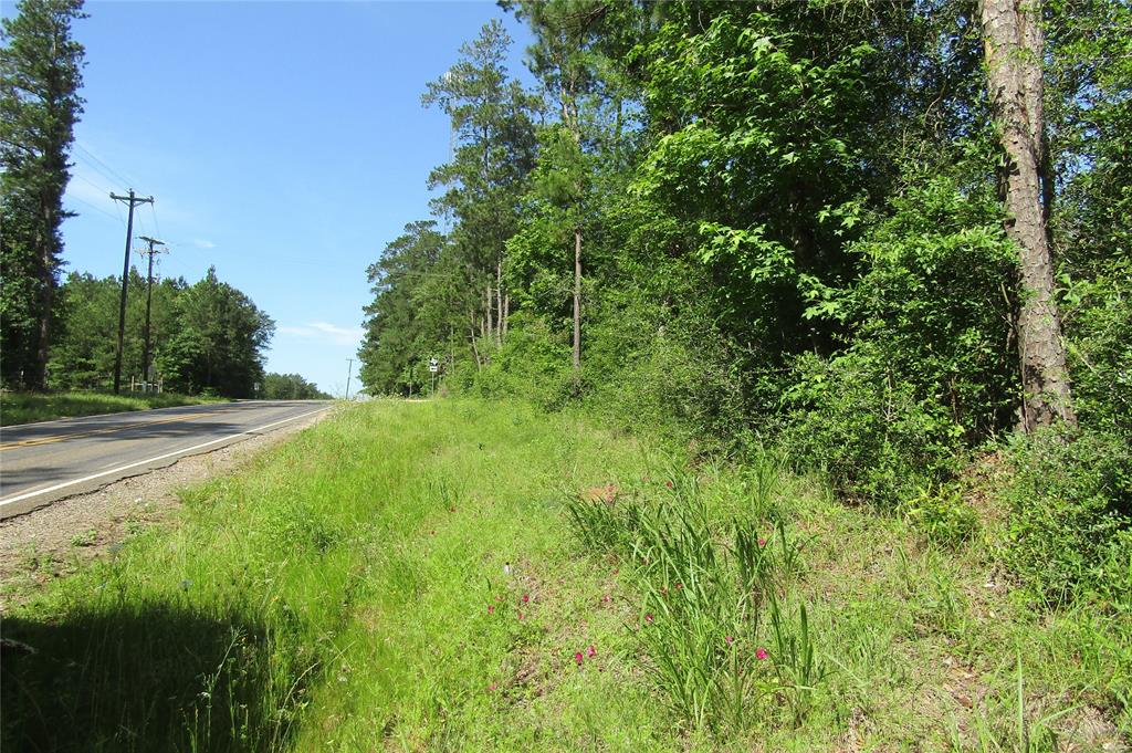 UNRESTRICTED! You won't find property like this very often. Make this approximate 72.2 UNRESTRICTED acres accessible by FM 942 frontage or FM 2500 Extension frontage, your own hunting lease, East Texas get away or your forever home place. Mixed hardwood and pines along with various other native timber adorn this spacious acreage. Some timber was harvested 5 years ago but was re-planted in 2021. This area boast plentiful wildlife for your hunters or nature enthusiast. Approximately an hour from the Houston area, 15 minutes from Livingston and 10 minutes from the Naskila Gaming Center (Casino). Call us today for a tour of this beautiful property!!