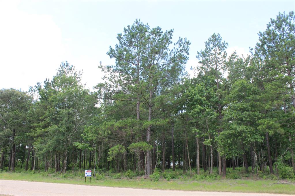 3956 Highline Oaks, Conroe 3956 Highline Oaks Conroe Texas 77306, 40