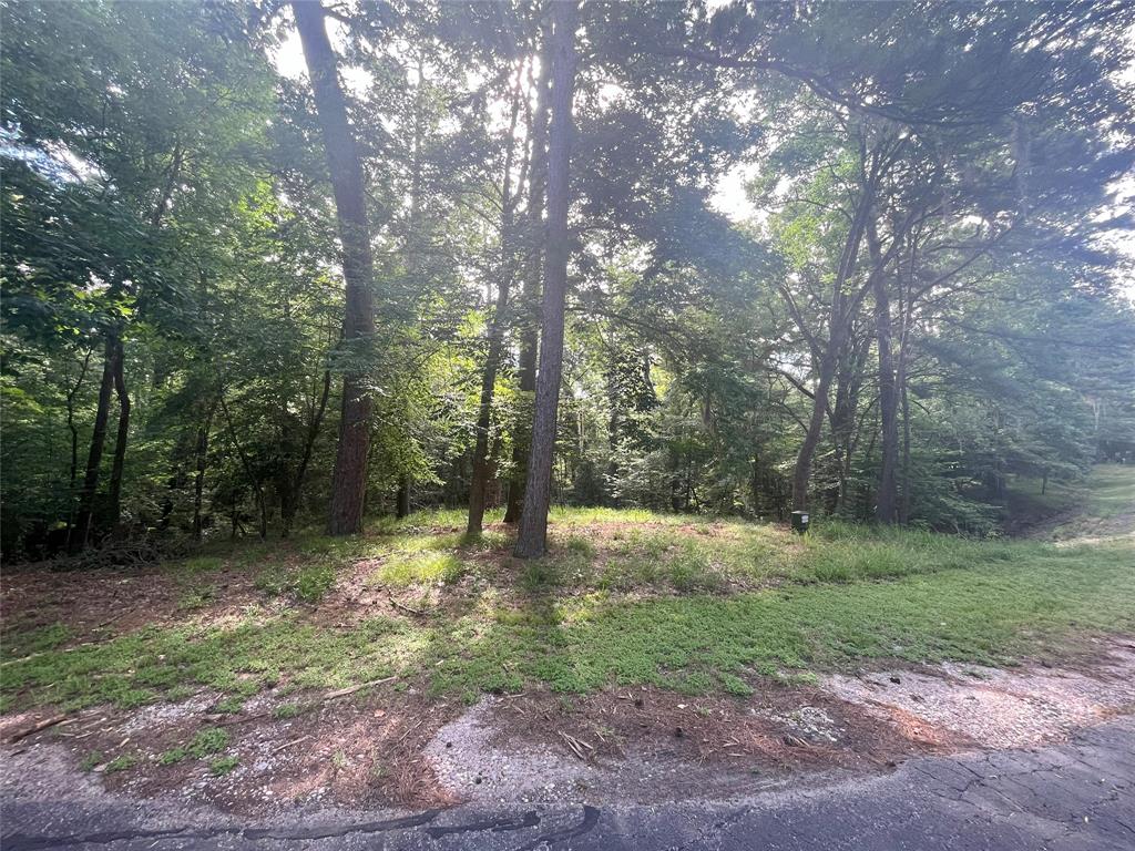 30 Knight Lane Coldspring Texas 77331, Coldspring 30 Knight Lane Coldspring Texas 77331, Coldspring