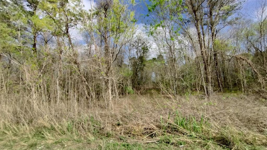 Beautiful wooded 1 acre with a fabulous Location right off of the main HWY 146! This area is growing fast! What a great opportunity for you to build your business on this 1 acre! You don't want to miss out on this property! Give me a today and lets make this happen!