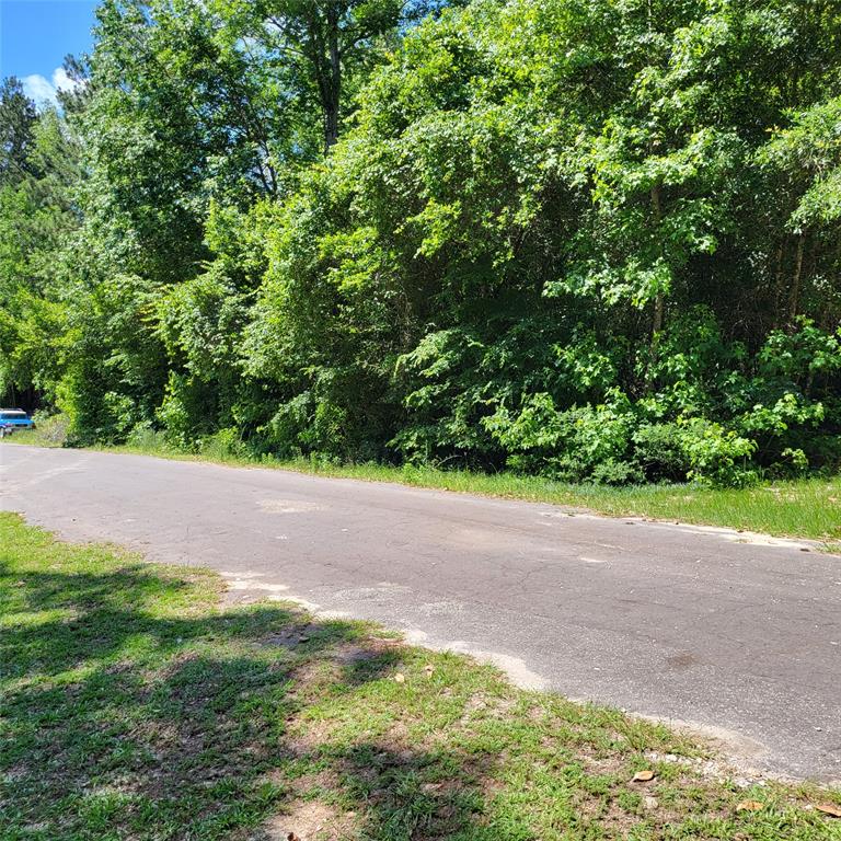TBD0  23rd Street Woodville Texas 75979, 48