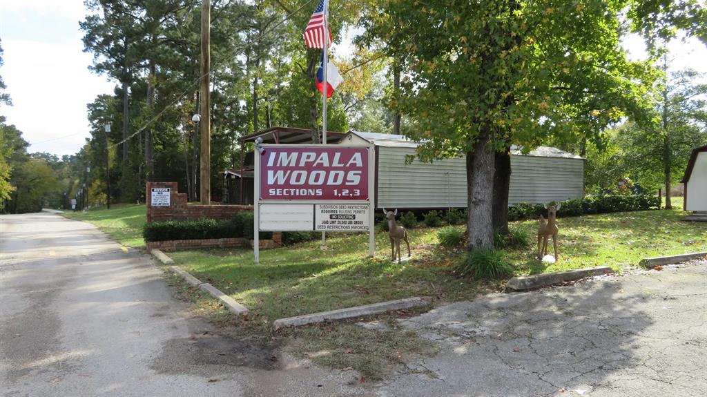 Lot 4  Moose Drive Onalaska Texas 77360, 44