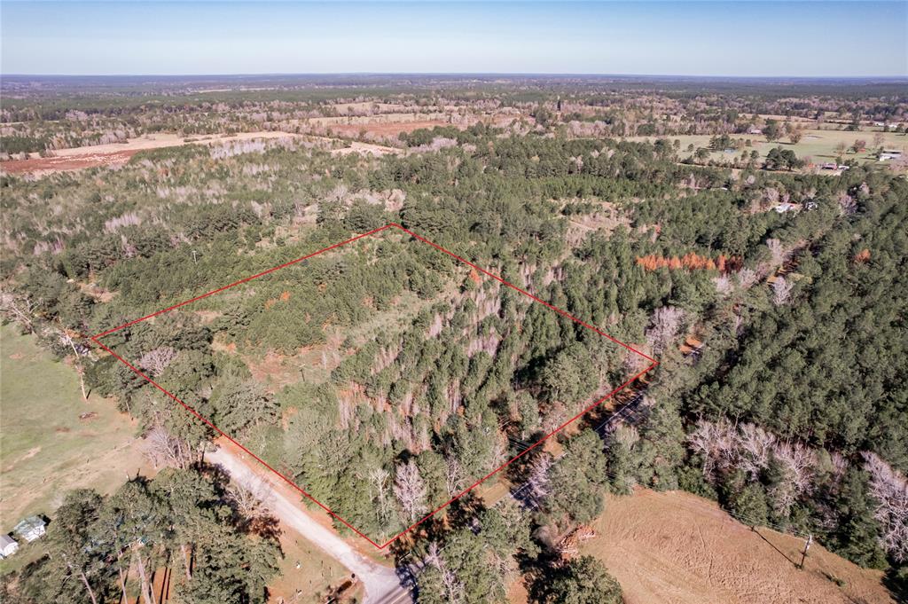 The is a very nice located property between Groveton and Apple Springs with road frontage on Bill Jones Road and SH 94.  The property is wooded, has water and electrical utilities available for those desiring to build a new home.  The property is located near the Davy Crockett National Forest for those looking for hunting purposes or recreational.  Just a few minutes to Lufkin where multiple eating, shopping, hospitals and doctors are located if needed.  This property has a new survey.