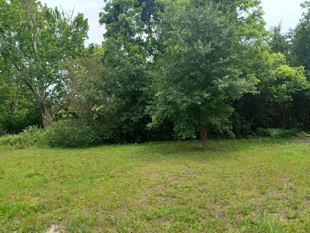 6005  Jackson Lane Texas City Texas 77591, 33