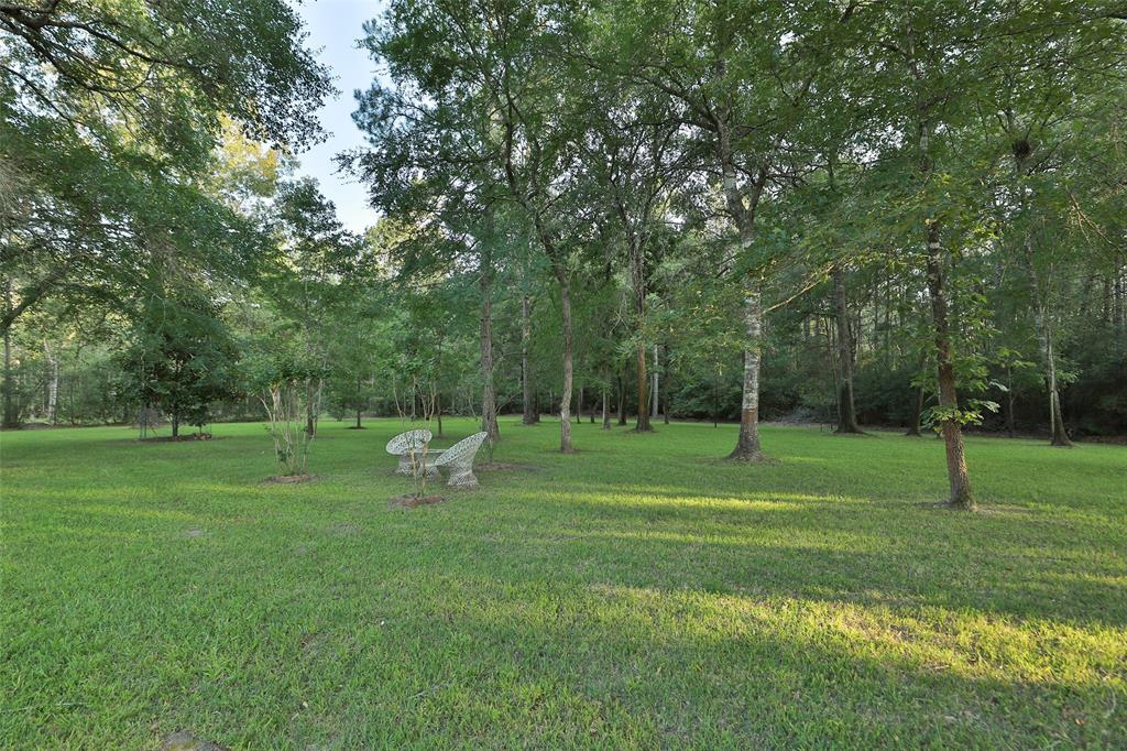 Huge back yard.