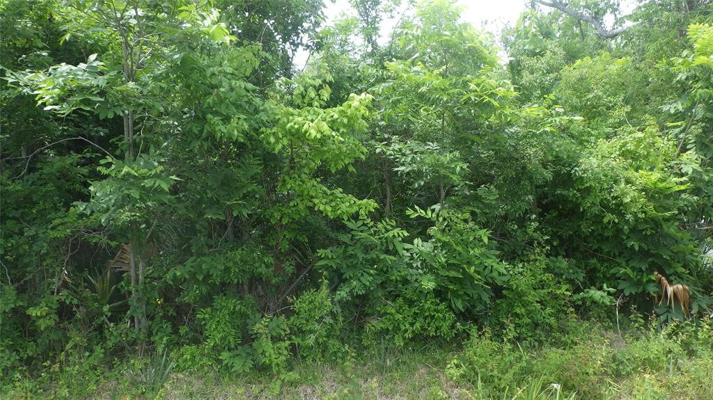 Very nice 3.330 acres with road frontage on FM 521 and CR 461. Partially wooded. Nice property for a new home and enough acreage for your horses or cattle.