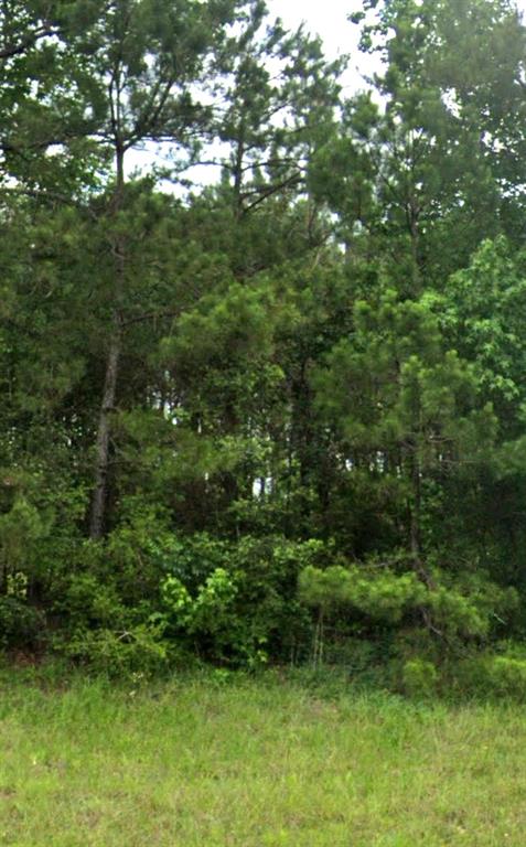 00 E Richardson Road E  Livingston Texas 77351, 44