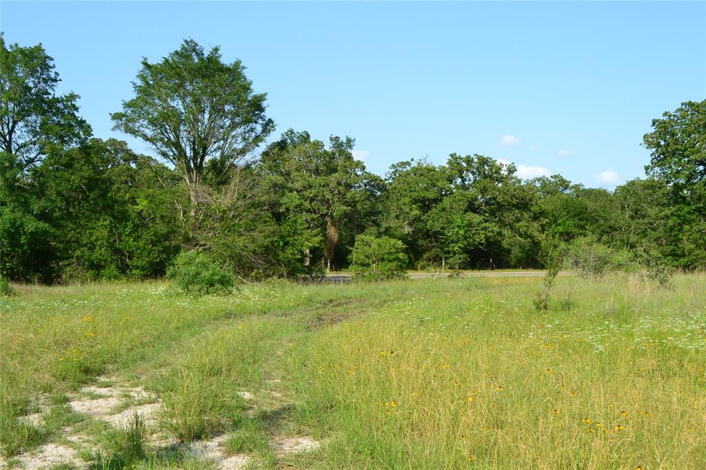 100  Live Oak Path Somerville Texas 77879, 59