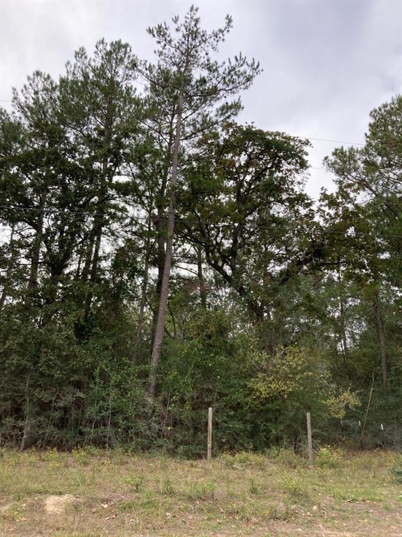 16596  Camelia Lane Plantersville Texas 77363, 60