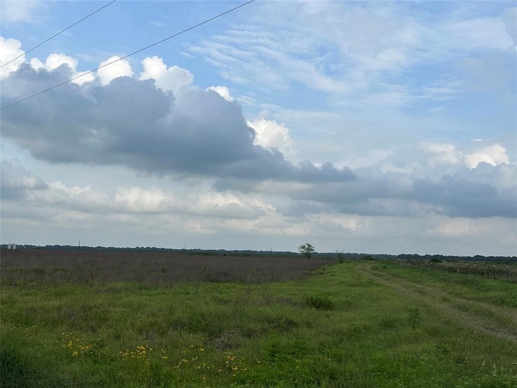 11.172 acres of level open pasture land located in Lousie just 9.5 miles west of El Campo .Great for home site and or Ag use.Improvements to be added within 180 days include full fencing, gate,entrance,culvert if needed,water well and electric access at the street,